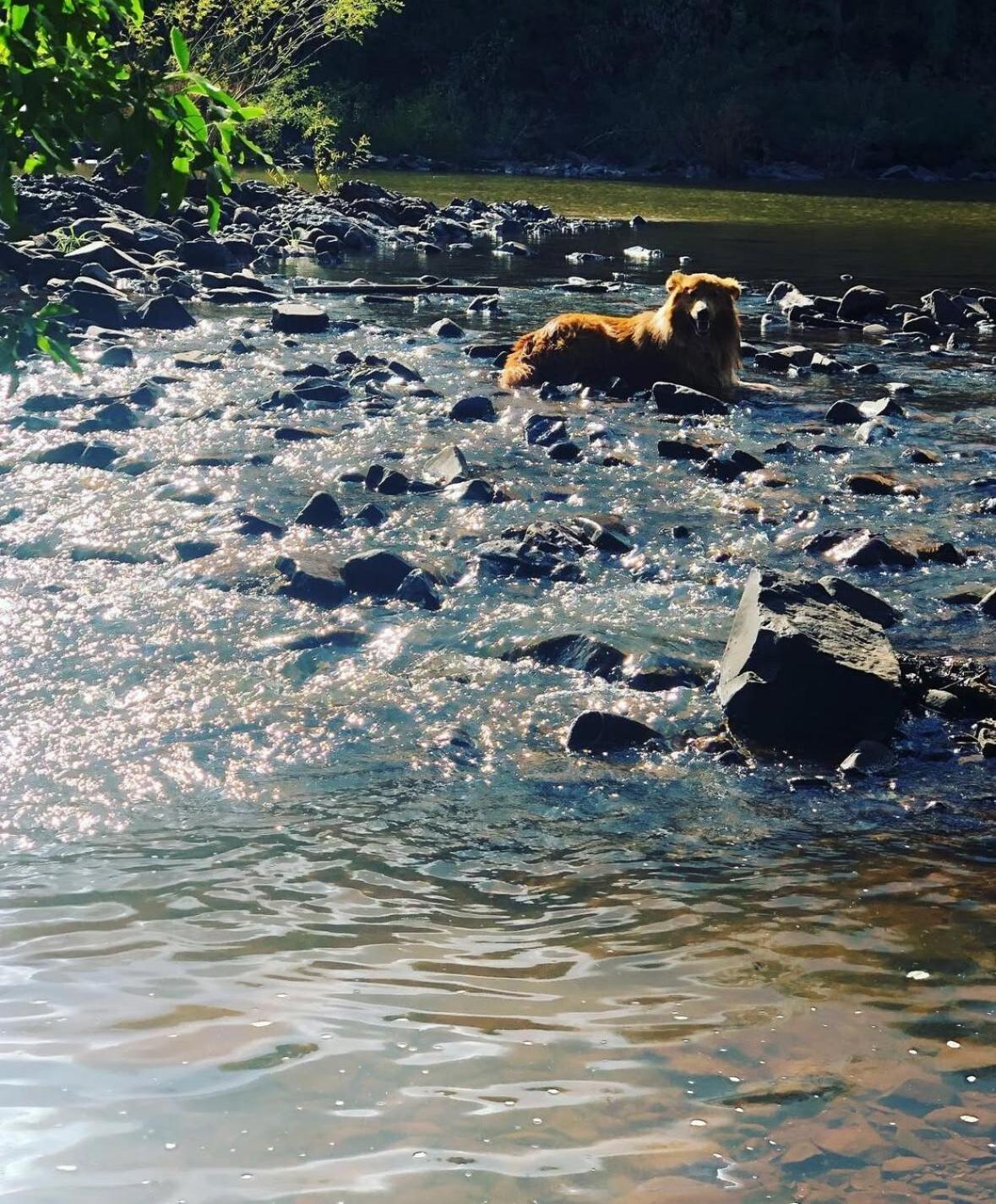 Sitio Das Pedras Ijuí Zewnętrze zdjęcie